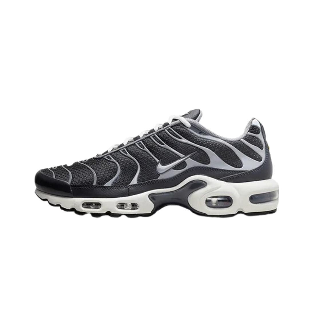 Nike Air Max Plus Greyscale Cool Grey